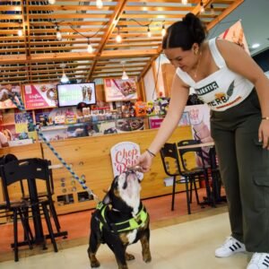 chopnroll-pets-neiva-helados-plancha-2